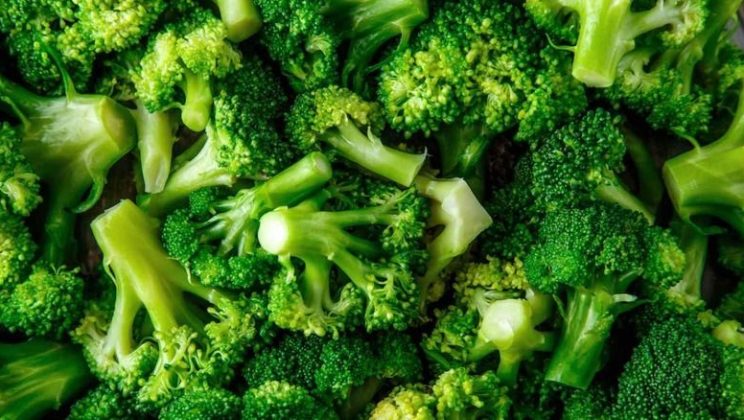 FDA warns to check on broccoli tots for rocks after dental damage reports